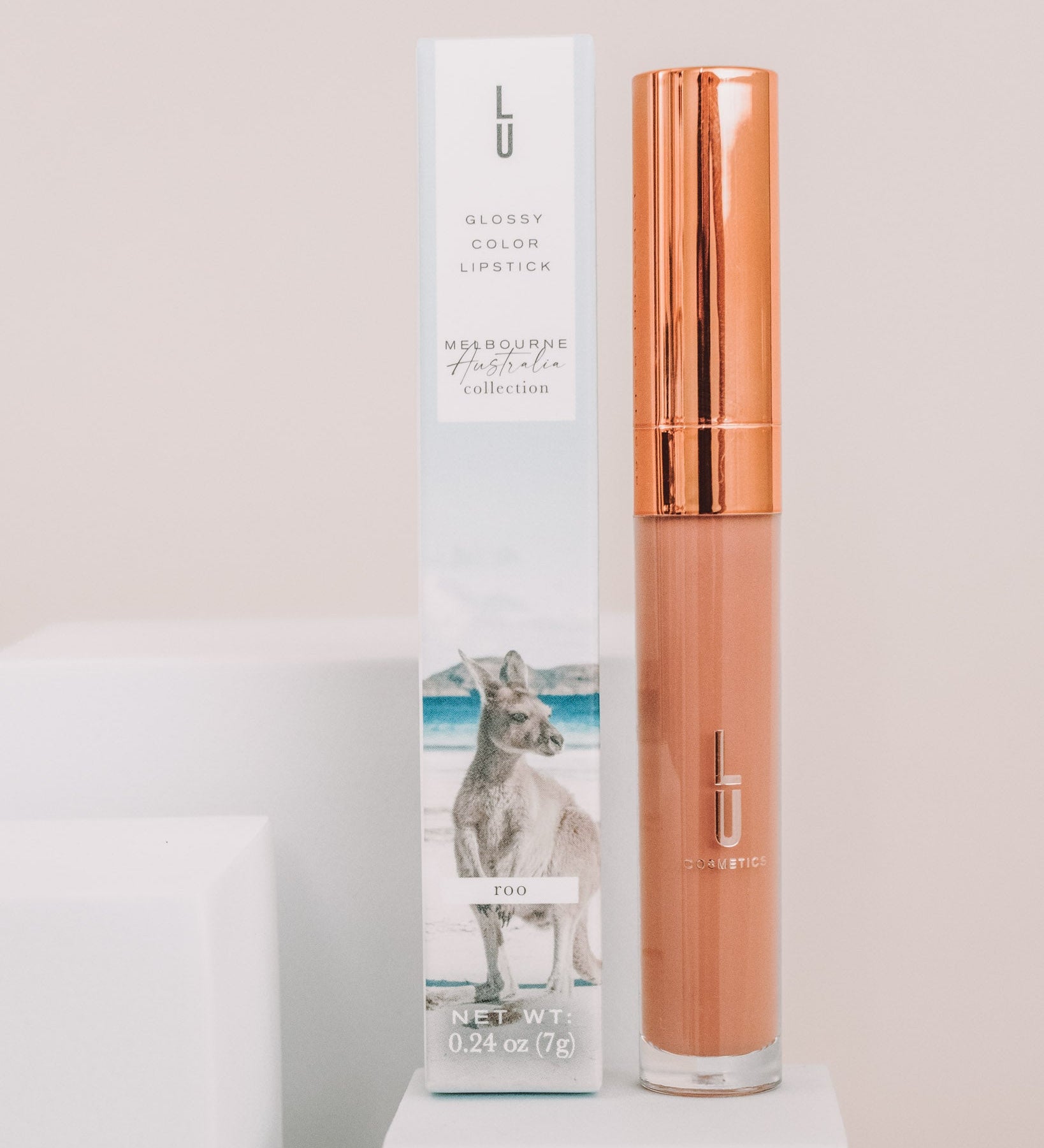 Glossy Color Lipgloss - Lu Cosmetics