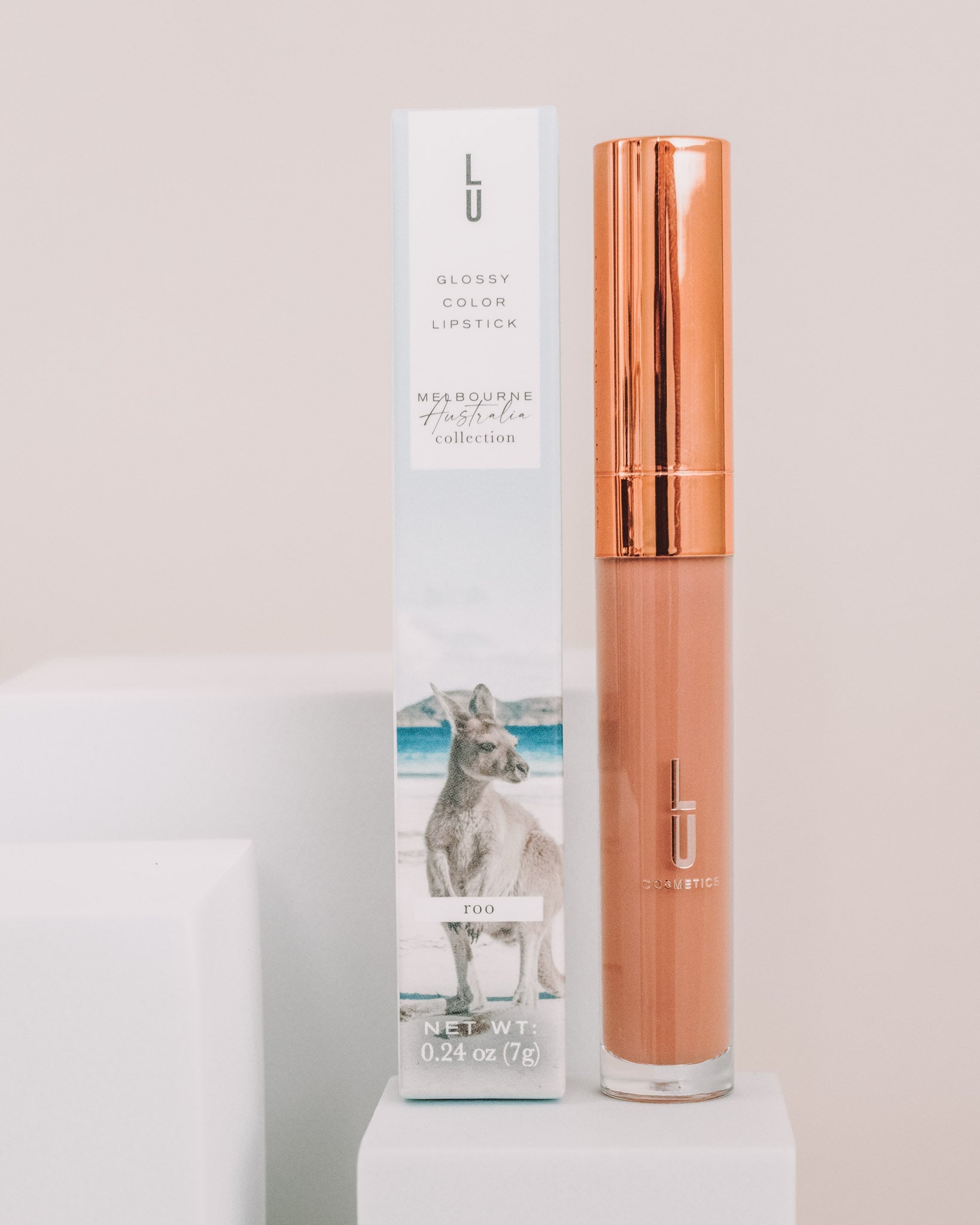 Glossy Color Lipgloss - Lu Cosmetics